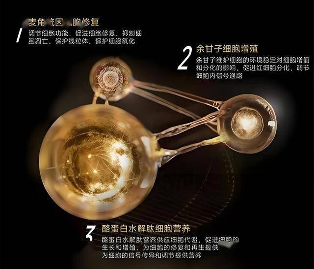 Taqa获得阿联酋资源扩张24年电力协议